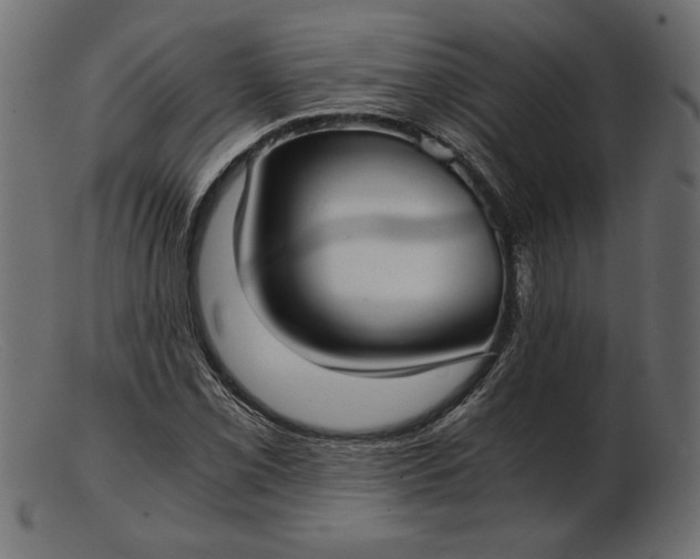 X0000103221069200809111503