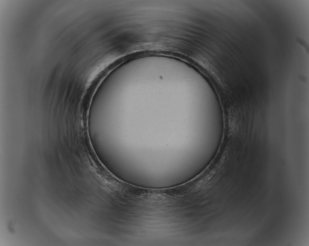 X0000103221070200809111503