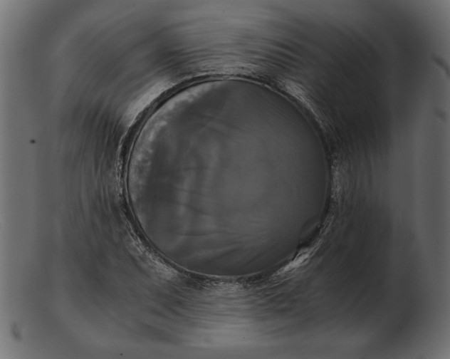 X0000103221071200809111503