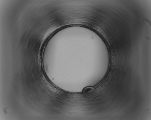 X0000103221072200809111503