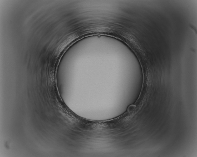 X0000103221073200809111503