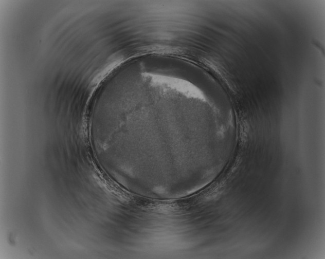 X0000103221074200809111503