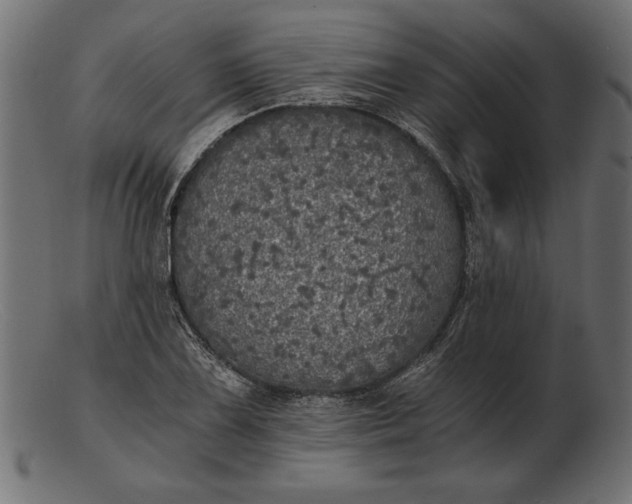 X0000103221075200809111503