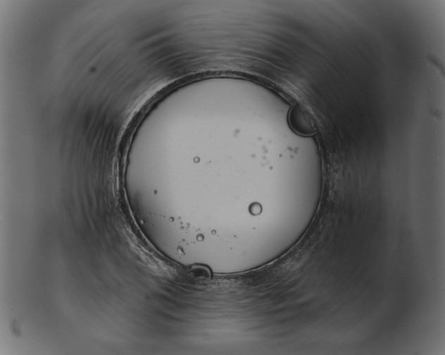 X0000103221076200809111503