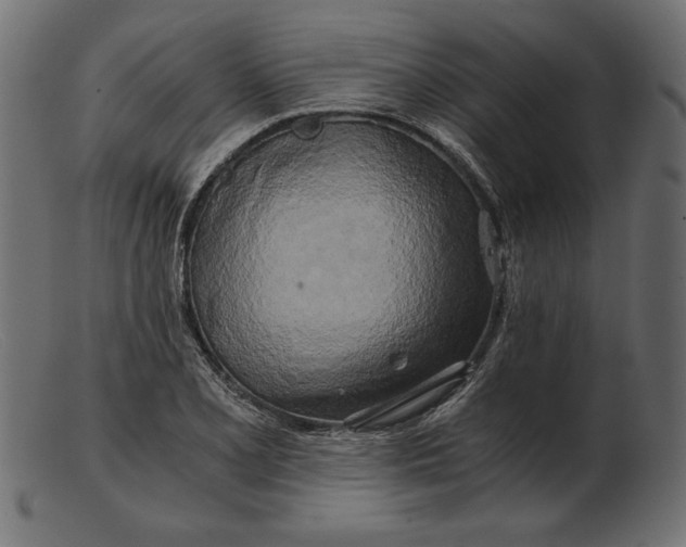 X0000103221077200809111503