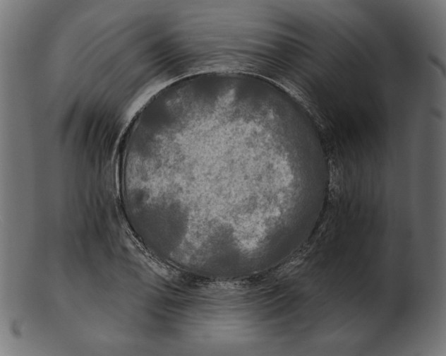 X0000103221078200809111503