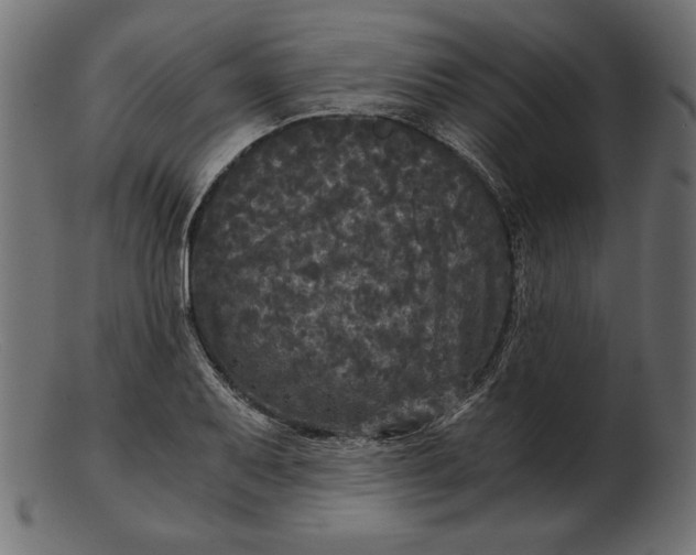 X0000103221079200809111503