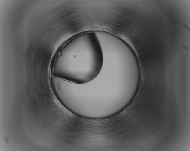 X0000103221080200809111503