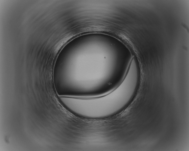 X0000103221081200809111503