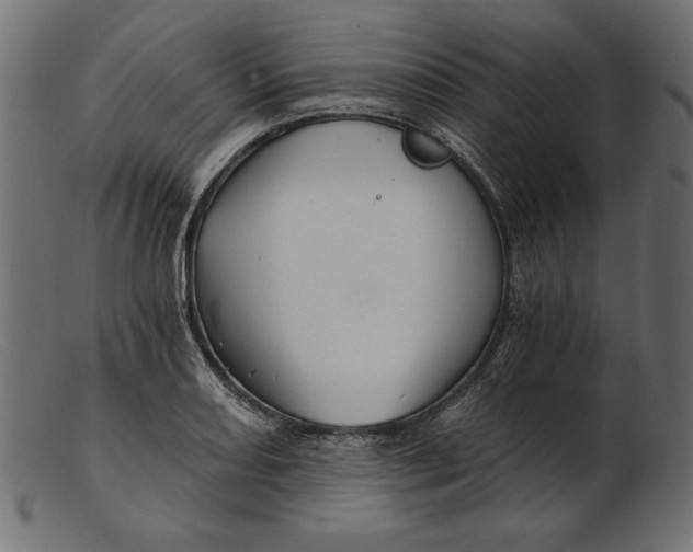 X0000103221082200809111503