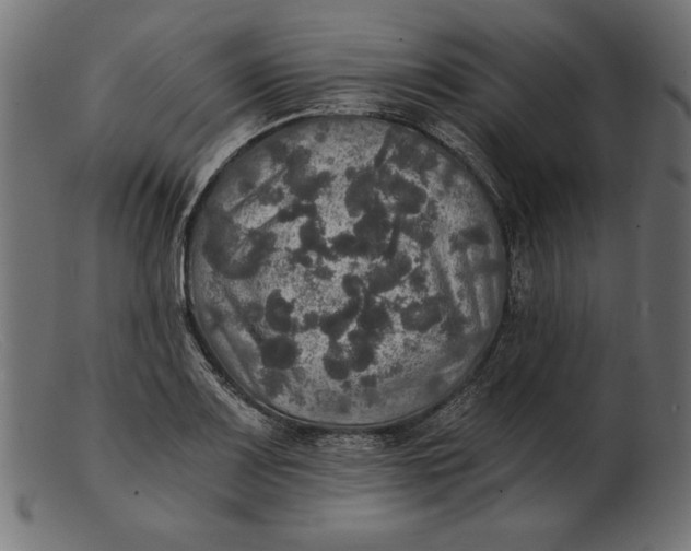 X0000103221083200809111503