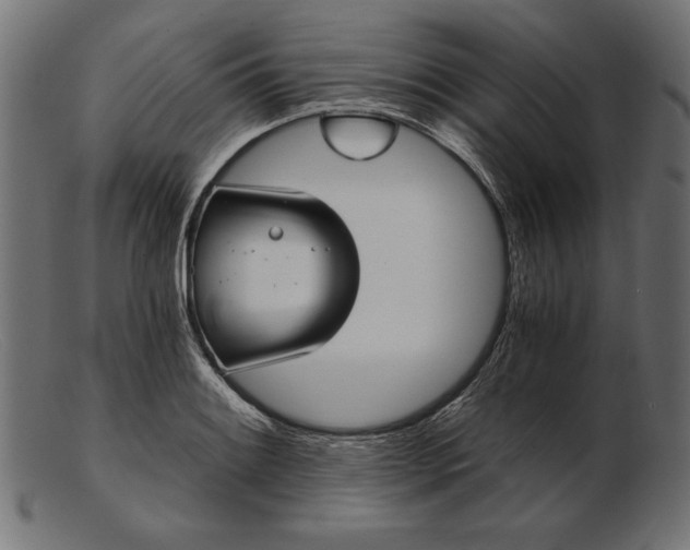 X0000103221084200809111503