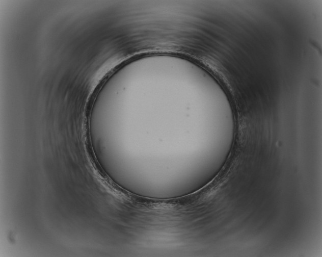 X0000103221085200809111503