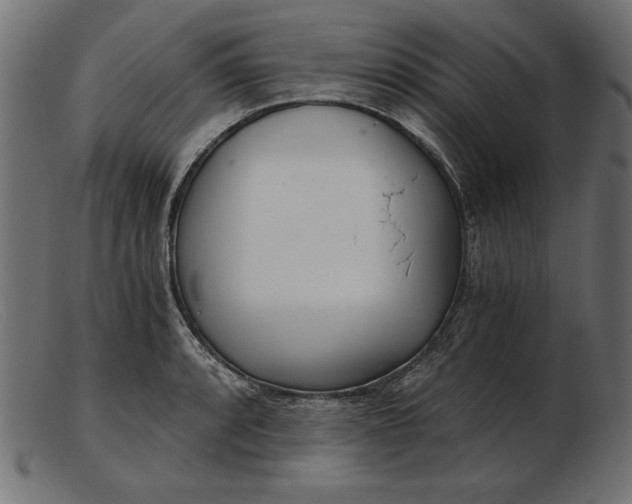 X0000103221088200809111503