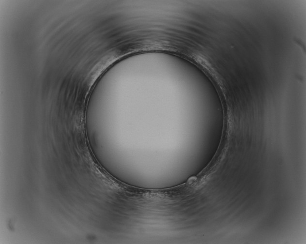 X0000103221089200809111503