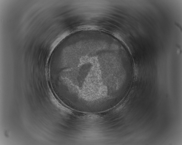 X0000103221090200809111503