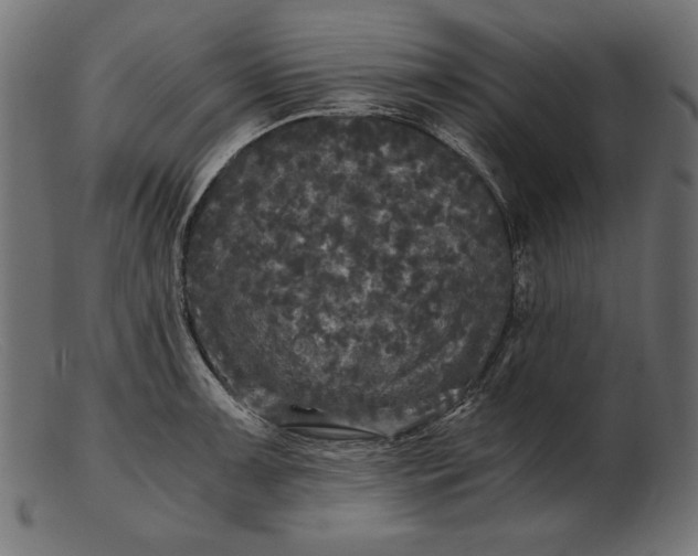 X0000103221091200809111502