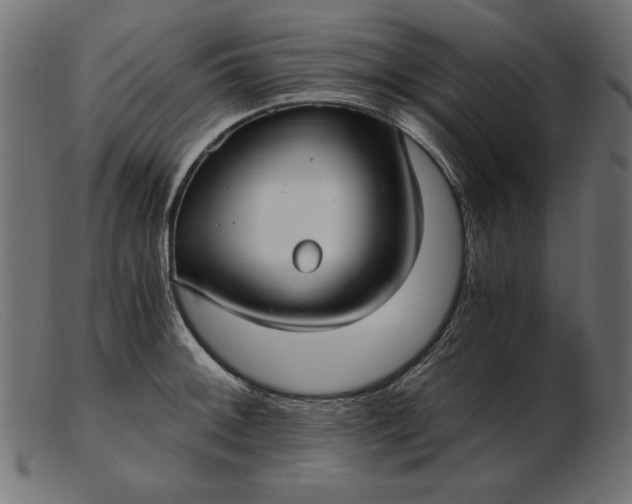 X0000103221092200809111502