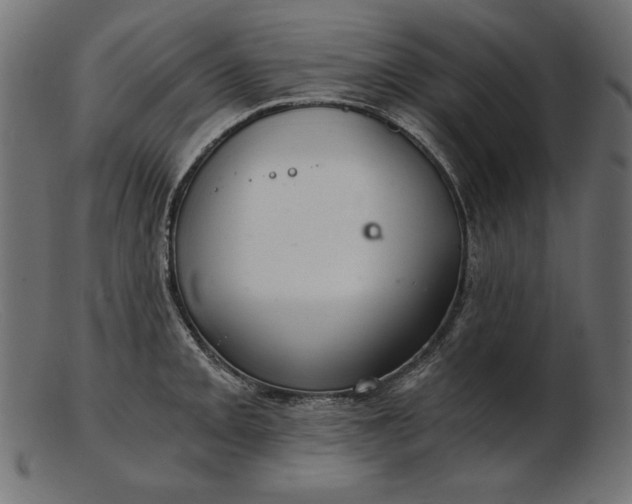 X0000103221093200809111502