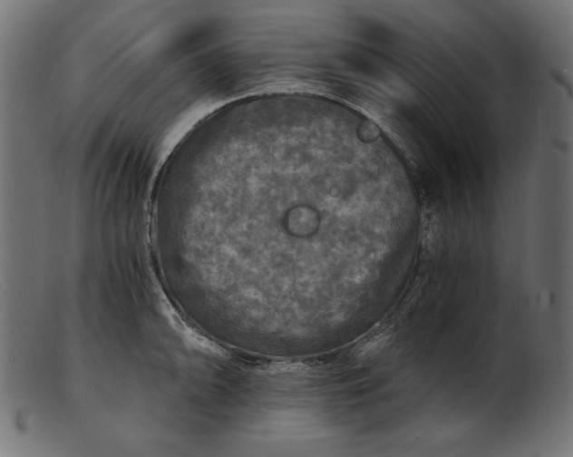 X0000103221094200809111502