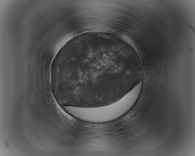 X0000103221095200809111502