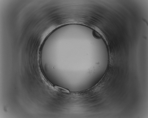 X0000103221096200809111502