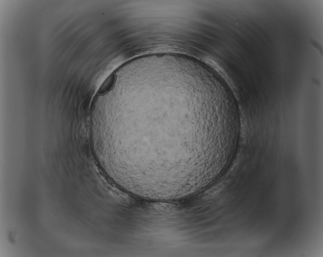 X0000103221097200809111502