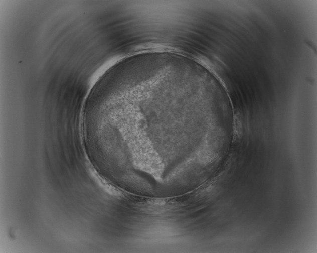 X0000103221098200809111502