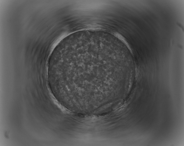 X0000103221099200809111502