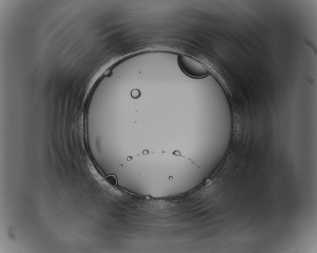 X0000103221100200809111502