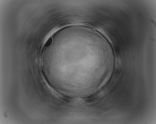 X0000103221101200809111502