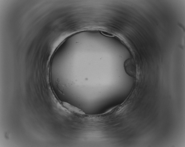 X0000103221102200809111502