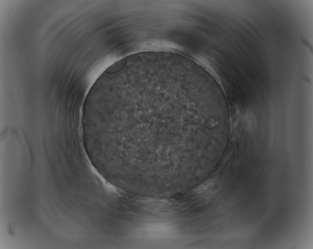 X0000103221103200809111502