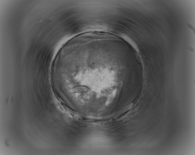 X0000103221104200809111502