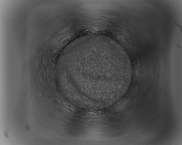 X0000103221105200809111502