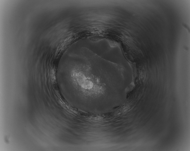 X0000103221106200809111502