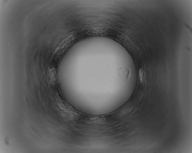 X0000103221107200809111502