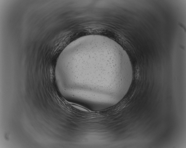 X0000103221108200809111502