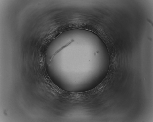 X0000103221109200809111502