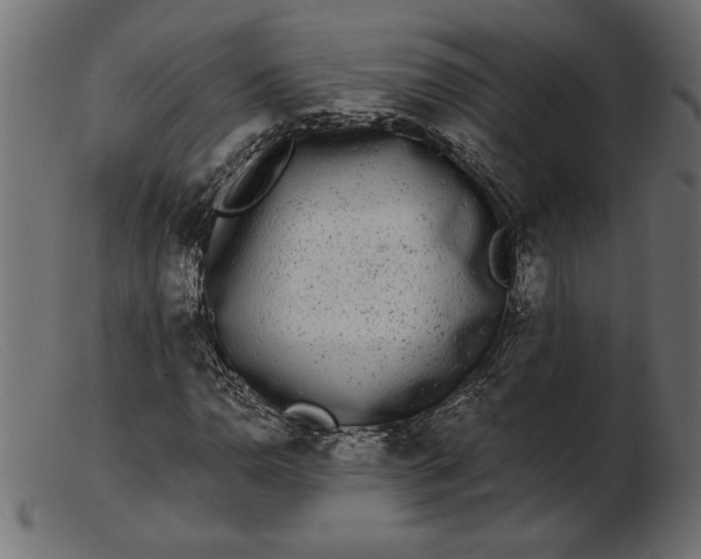 X0000103221110200809111502