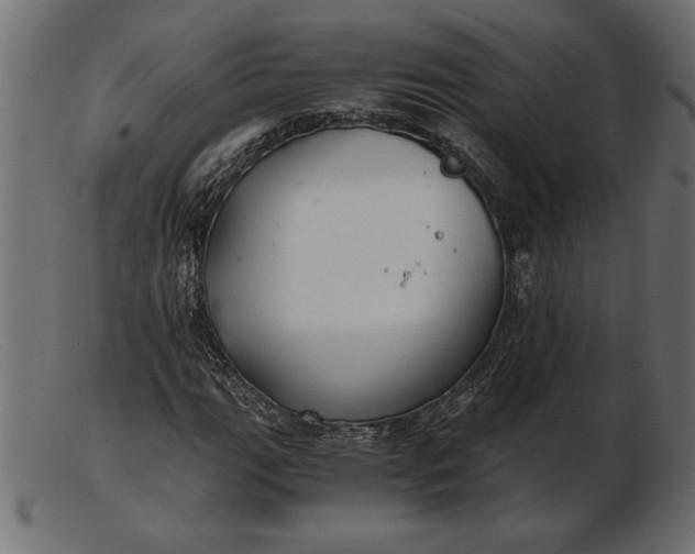 X0000103221111200809111502