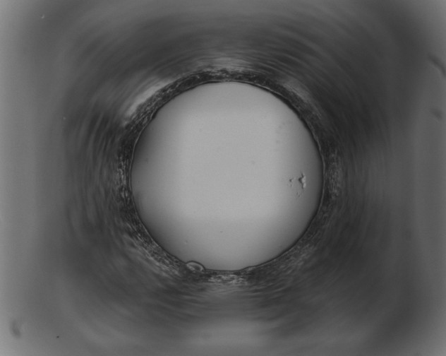 X0000103221112200809111502