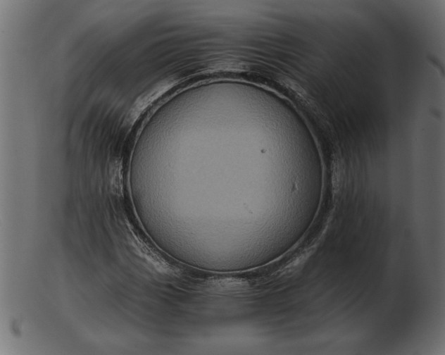 X0000103221113200809111502