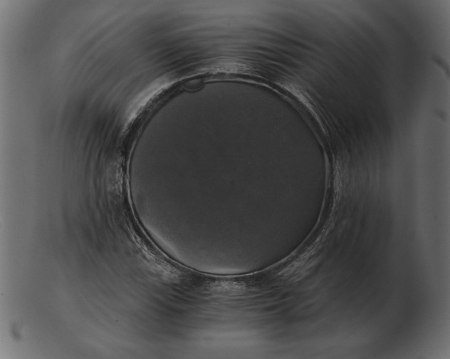 X0000103221115200809111502