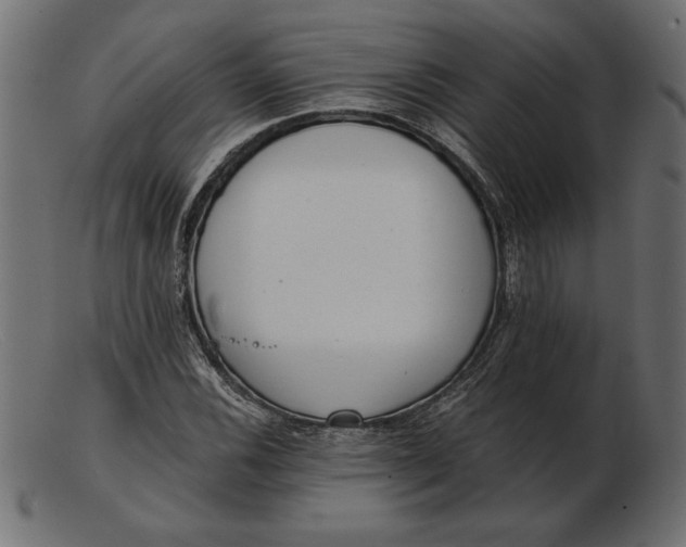 X0000103221116200809111502