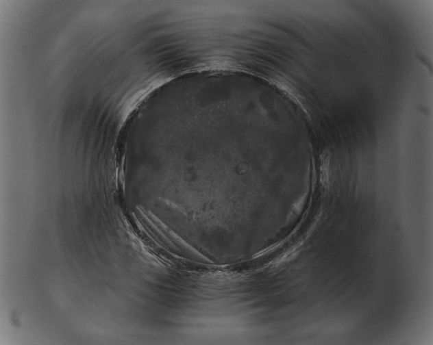 X0000103221117200809111502