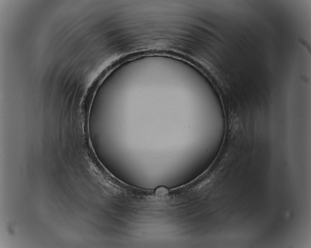 X0000103221118200809111502