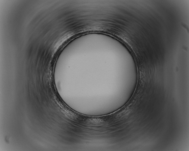 X0000103221119200809111502