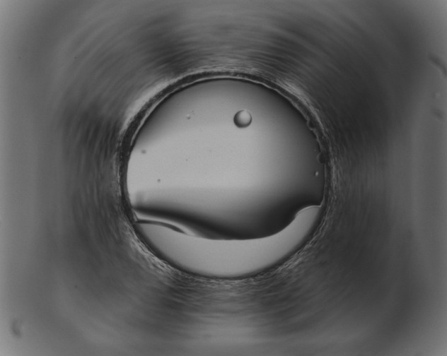 X0000103221120200809111502