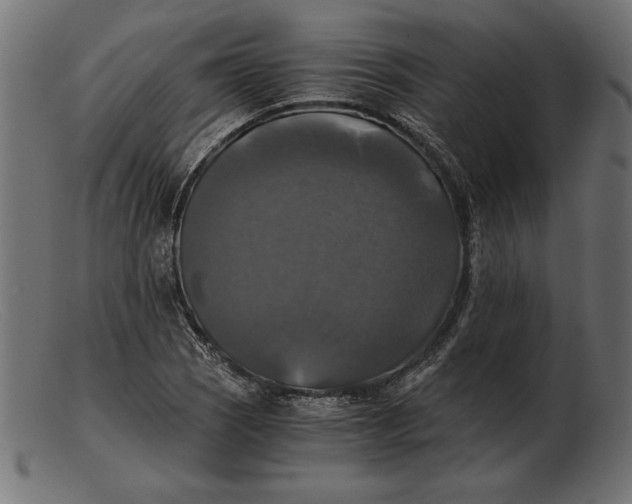 X0000103221121200809111502